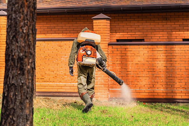 Trusted Rodent Control service in Whitehorn Cove, OK - Nex Pest Control